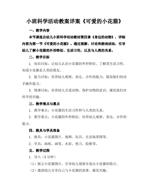 小班科学活动教案详案《可爱的小花猫》