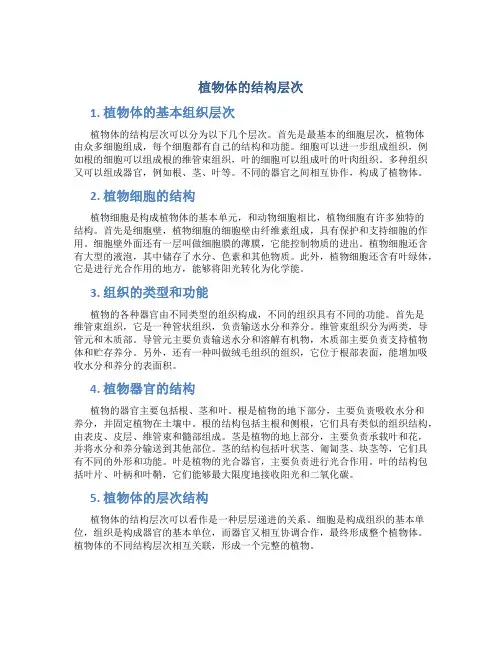 《植物体的结构层次》课件