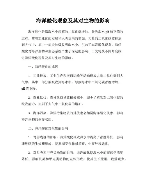 海洋酸化现象及其对生物的影响