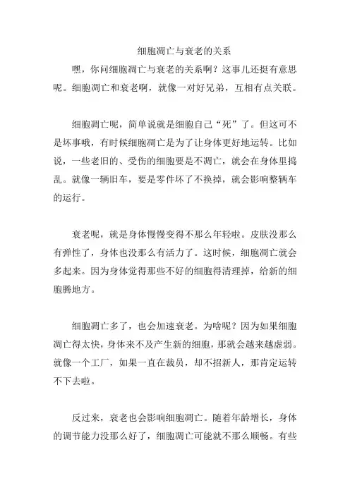 细胞凋亡与衰老的关系