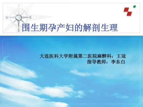 围生期孕产妇的解剖生理