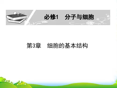 生物高考一轮复习 第3章 第1节 细胞膜—系统的边界课件 新人教必修1