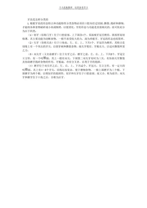牙齿是怎样分类的