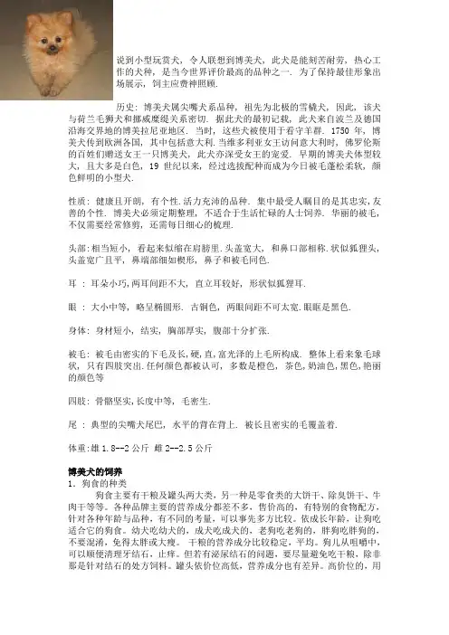 博美犬