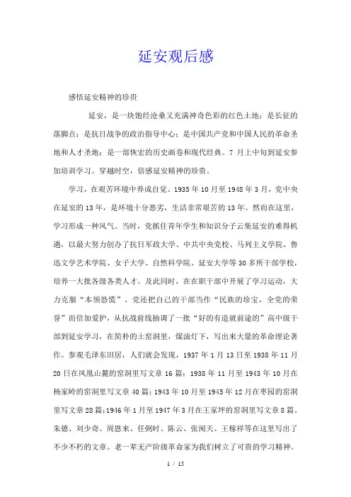 延安 观后感
