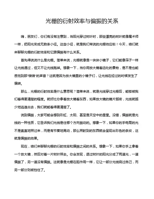 光栅的衍射效率与偏振的关系