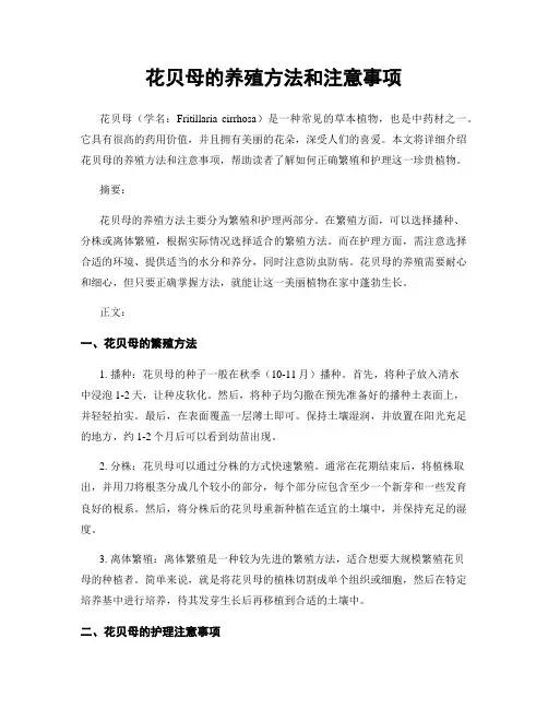 花贝母的养殖方法和注意事项