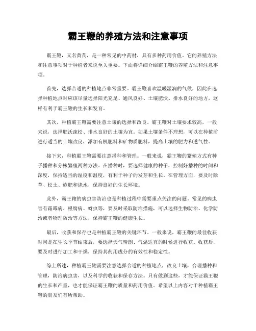 霸王鞭的养殖方法和注意事项