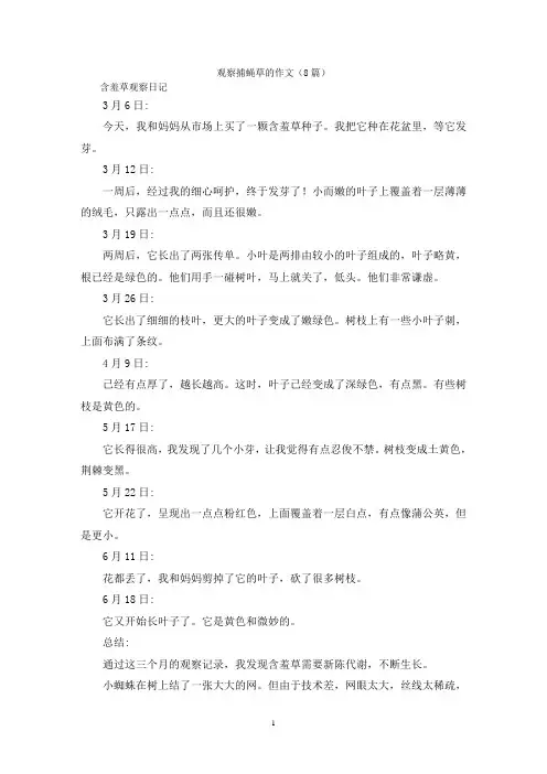 观察捕蝇草的作文(8篇)