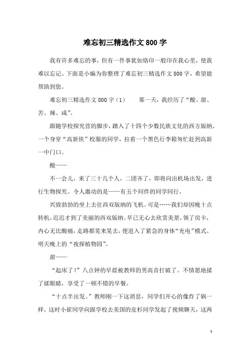 难忘初三精选作文800字