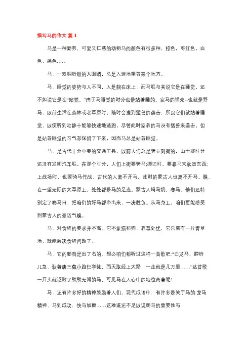 马睡觉的样子作文