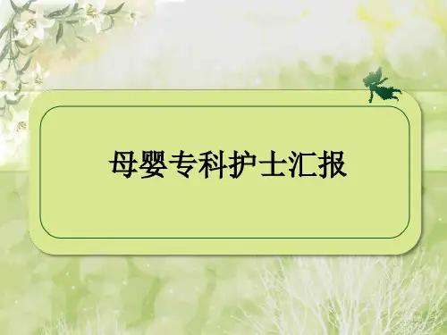 专科护士汇报 PPT课件