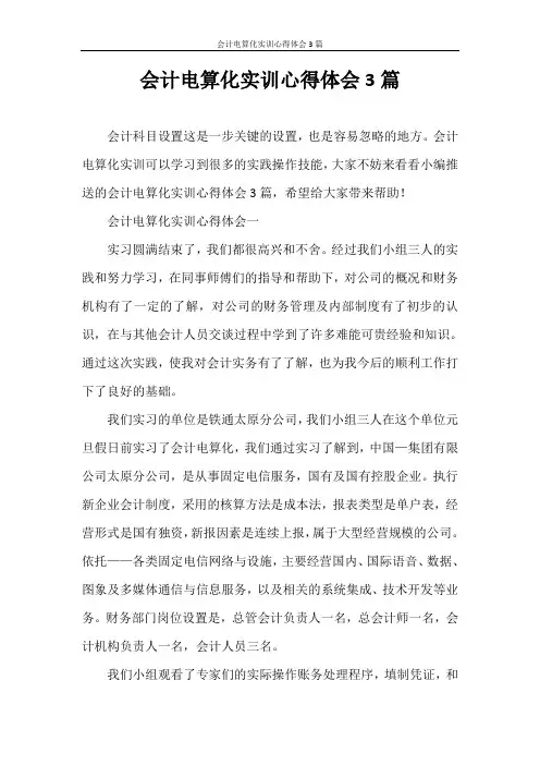 心得体会 会计电算化实训心得体会3篇