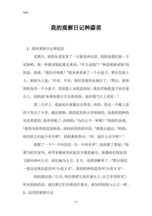 我的观察日记种蒜苗