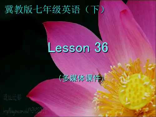 七年级下册Lesson 36 课件