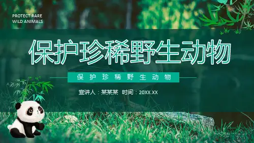 保护珍稀野生动物ppt课件(图文)