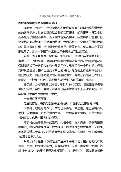 农村实践报告范文3000字（精选3篇）