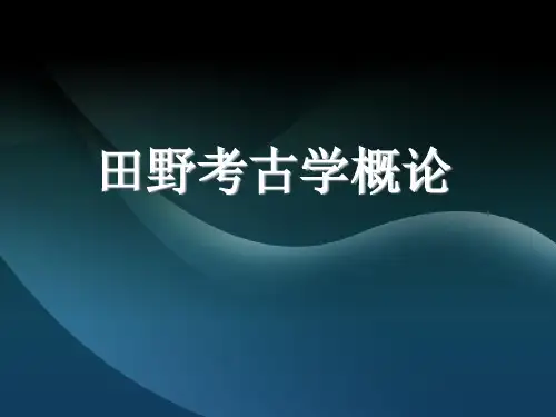 田野考古学一