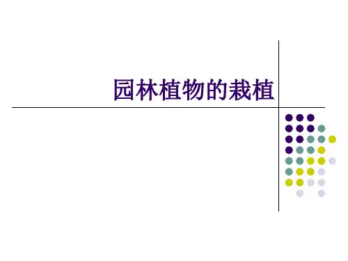园林植物的栽植