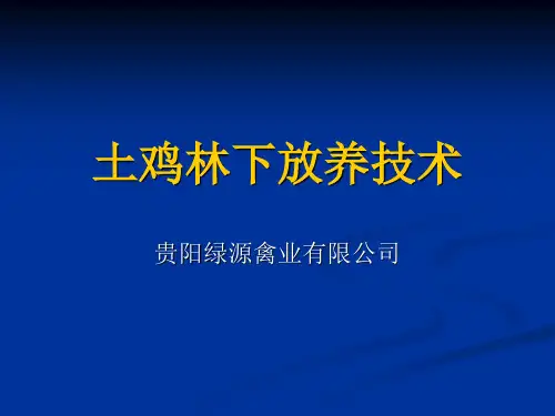 《林下土鸡养殖技术》培训课件