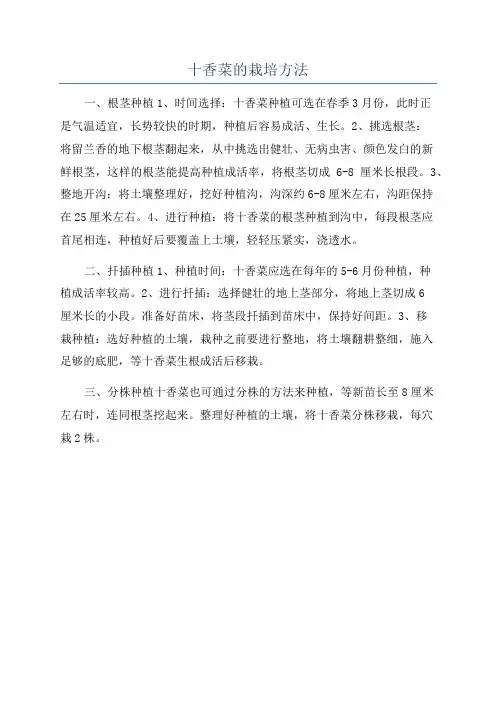 十香菜的栽培方法