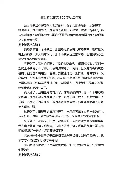 家乡游记作文600字初二作文