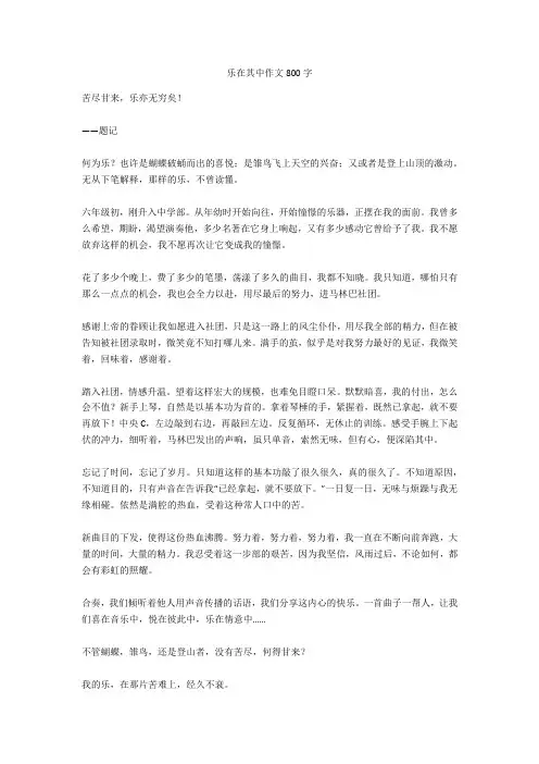 乐在其中作文800字正式版