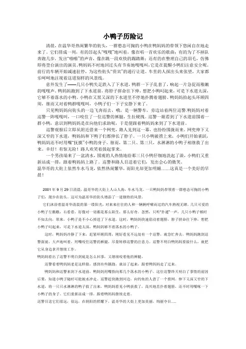 六年级上册第七单元作文——小鸭子历险记