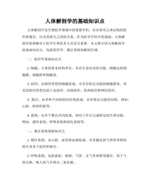 人体解剖学的基础知识点