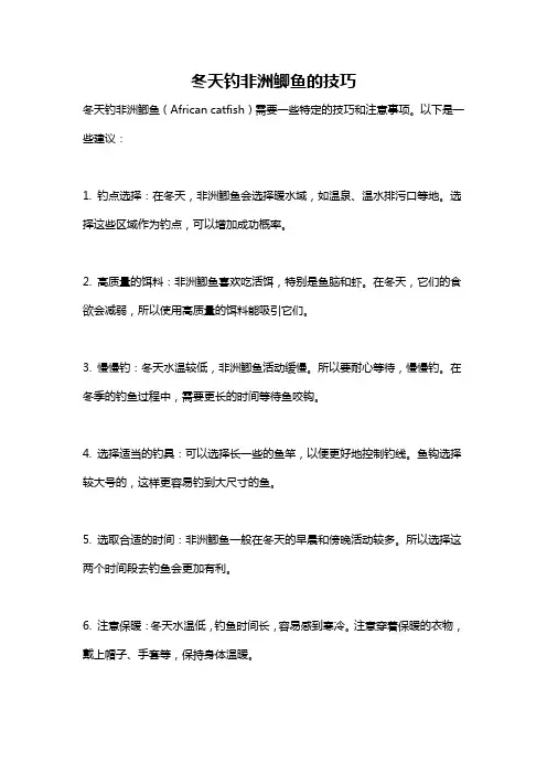冬天钓非洲鲫鱼的技巧