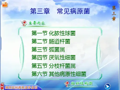 病原生物与免疫学基础课件第三章常见病原菌