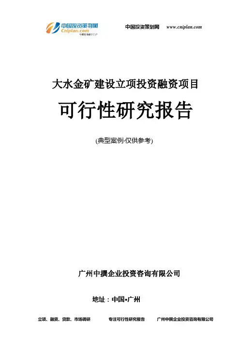 大水金矿建设融资投资立项项目可行性研究报告(非常详细)