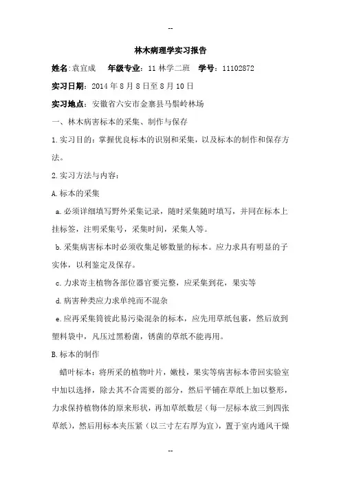 林木病理学实习报告(最新版)