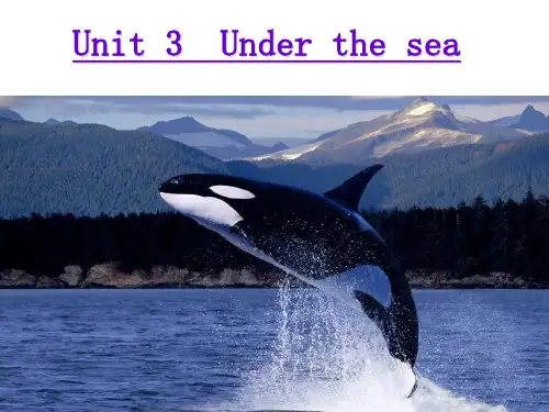 人教英语选修7Unit3UndertheseaUsingthelanguagereading