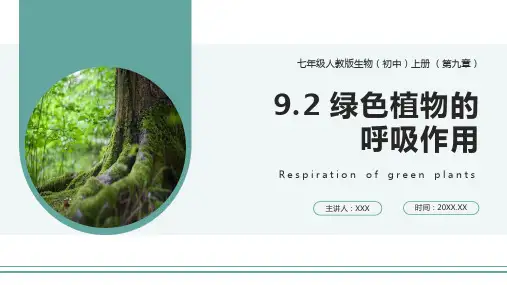 绿色植物的呼吸作用PPT课件