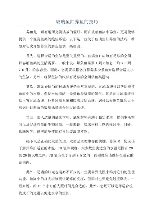 玻璃鱼缸养鱼的技巧