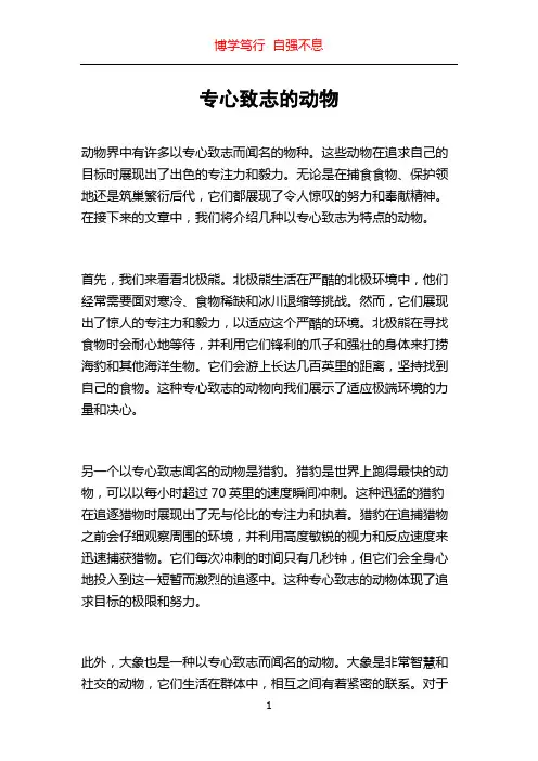 专心致志的动物