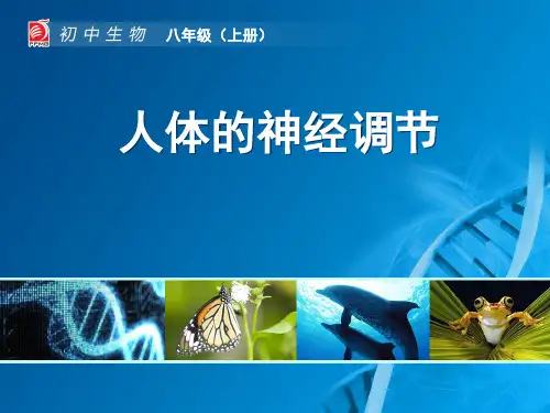 初中生物苏科版八年级上册第1节 人体的神经调节