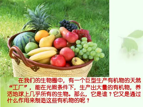 第一节绿色植物通过光合作用制造有机物课件