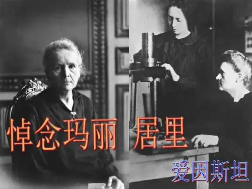 悼念玛丽居里 (2)