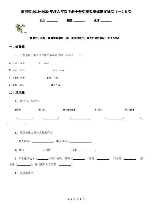 济南市2019-2020年度六年级下册小升初模拟测试语文试卷(一)B卷