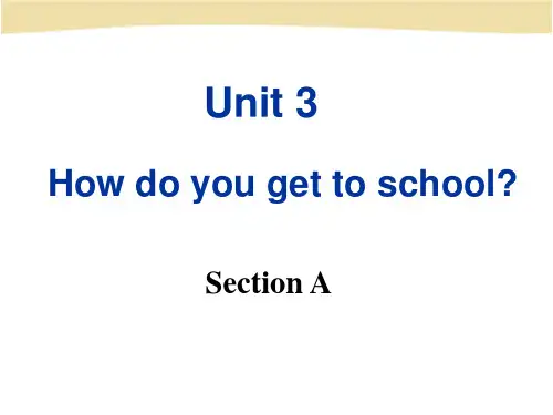 新版人教新目标七年级下册_Unit_3_How_do_you_get_to_school