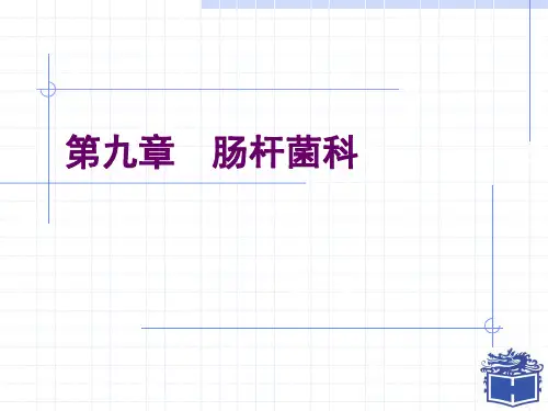 医学微生物学-第九章肠杆菌科