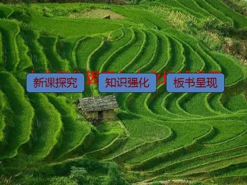 贵州省铜仁市2018中图版必修二3.1《农业区位因素与农业地域类型》ppt课件(共33页)
