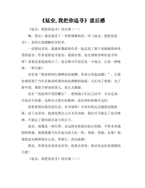 《延安,我把你追寻》读后感