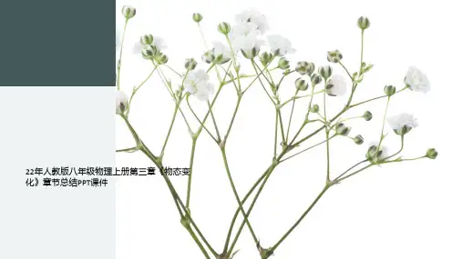22年人教版八年级物理上册第三章《物态变化》章节总结PPT课件