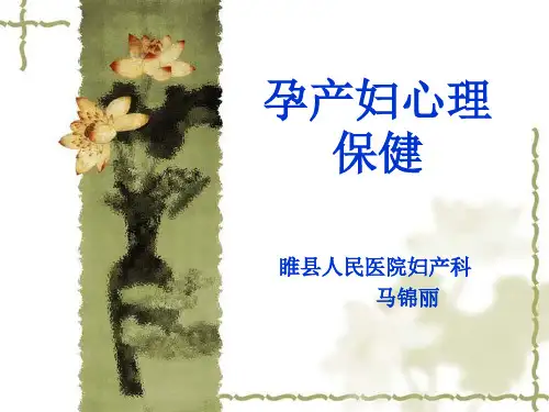 孕产妇心理保健参考PPT