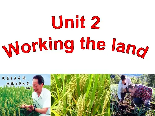 人教新课标高中英语必修四-Unit2 Working the land  reading 课件   