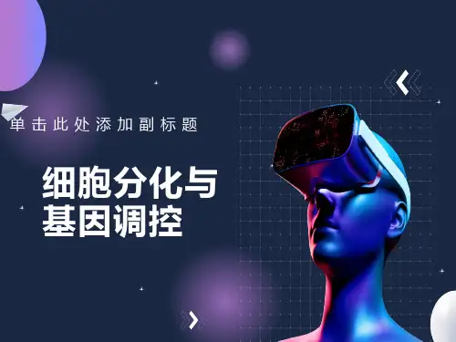 细胞分化与基因调控王玉娟
