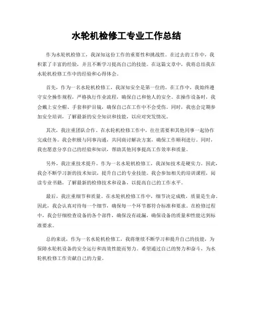 水轮机检修工专业工作总结